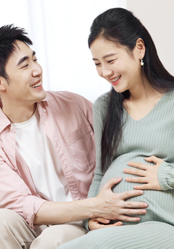 香港借卵公司
