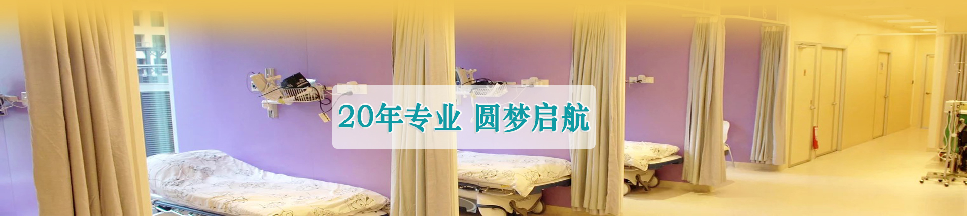 借卵分享