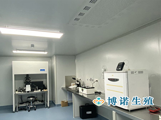 香港借卵试管医院 - 手术实验室