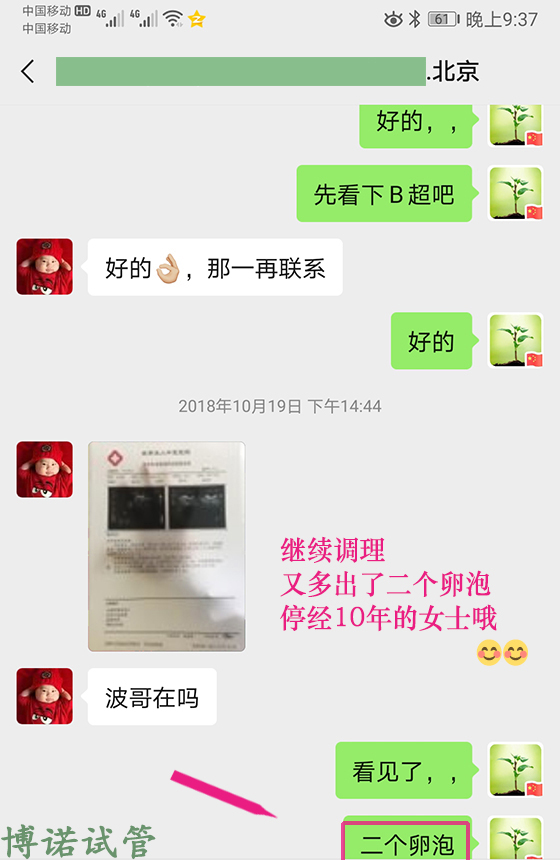 香港借卵公司.jpg