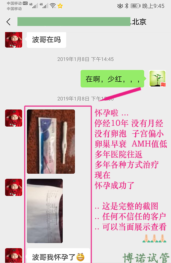 香港借卵费用.jpg