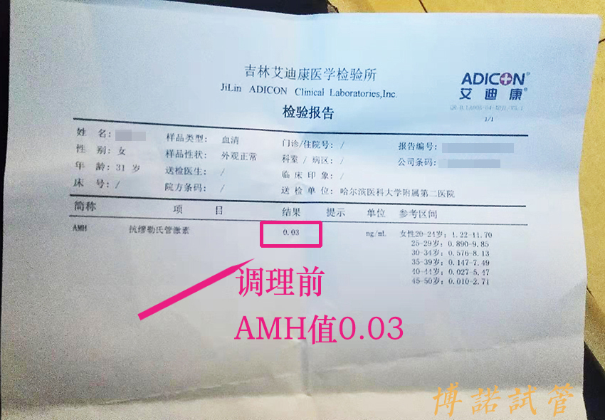 香港借卵公司.jpg