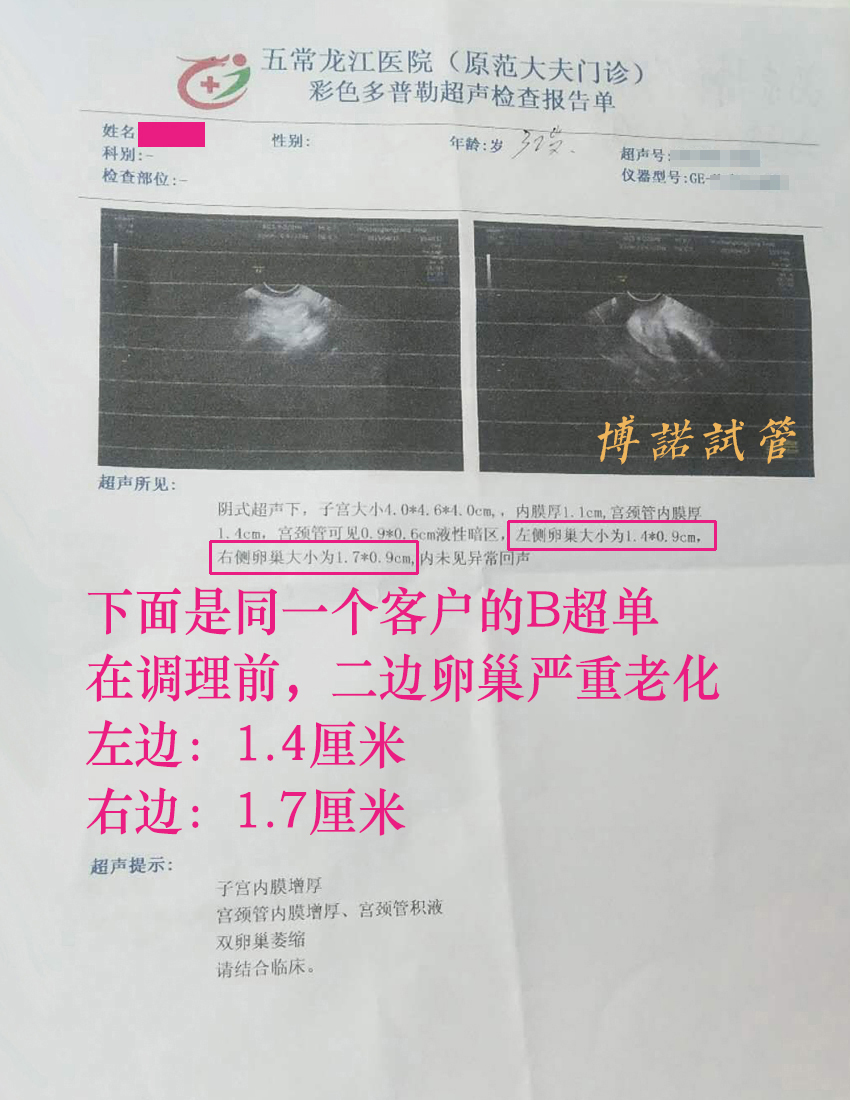 香港借卵成功率.jpg