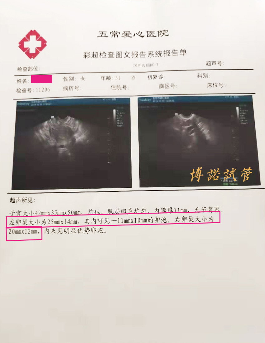 香港借卵生子.jpg