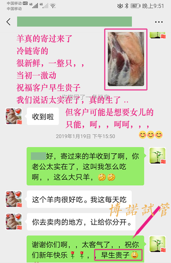 香港借卵费用.jpg