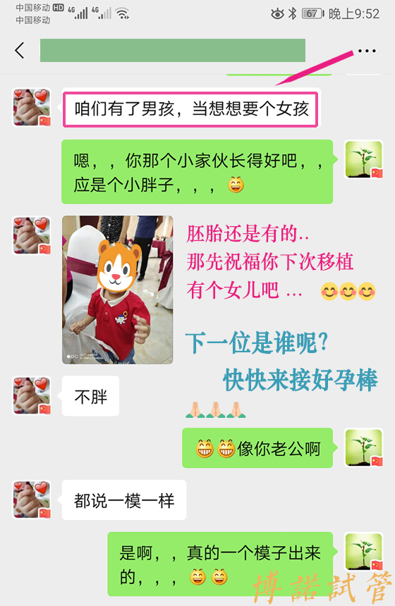 香港借卵生子.jpg