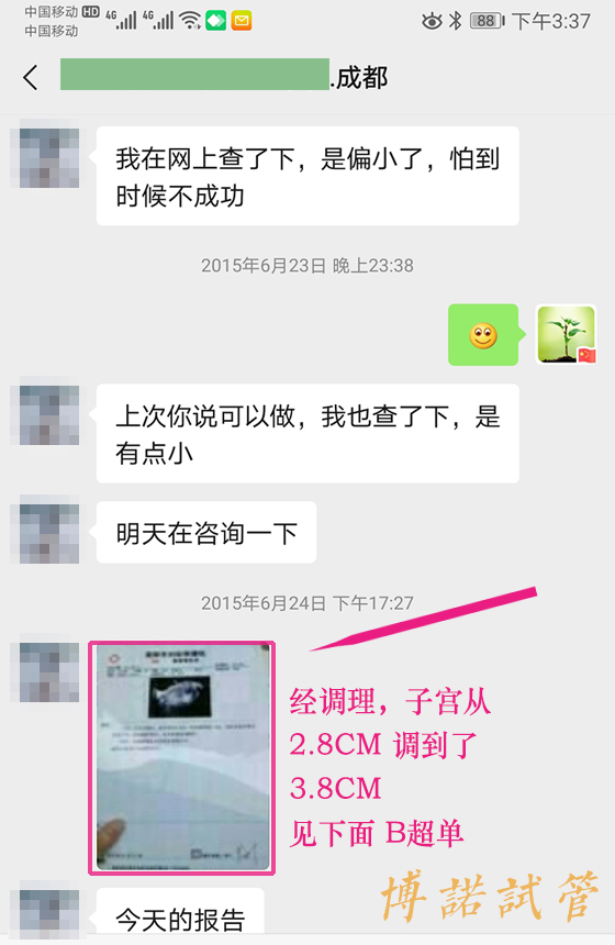 香港借卵生子.jpg