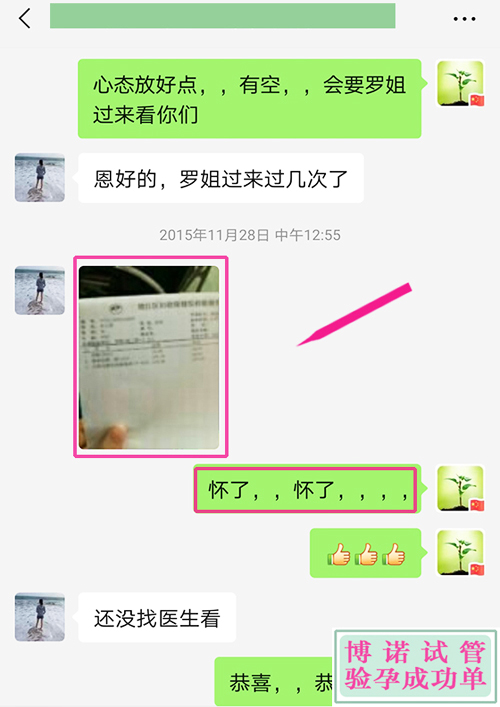 香港助孕机构：只5个胚胎
