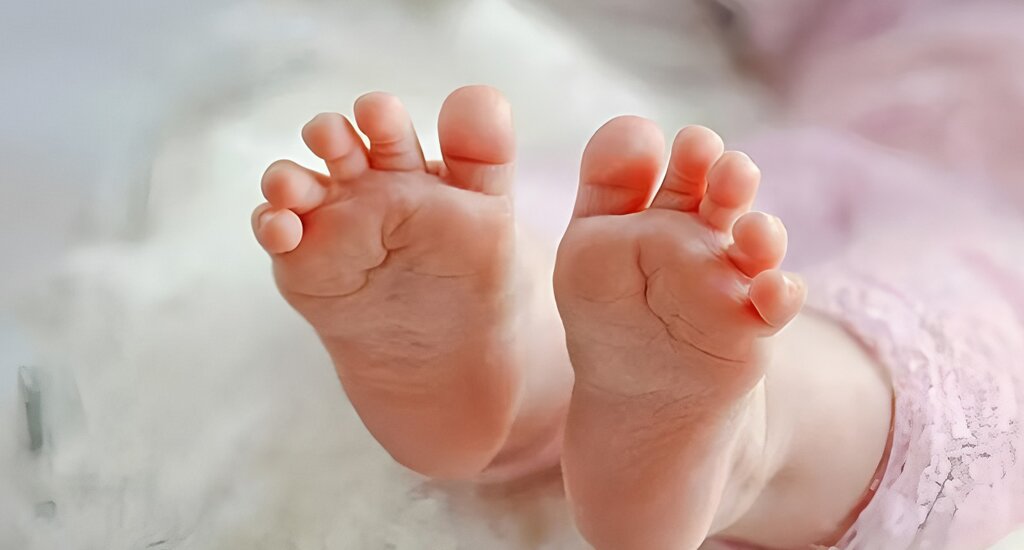 德国代孕机构：代孕机构助力女性实现愿望延续爱的传承