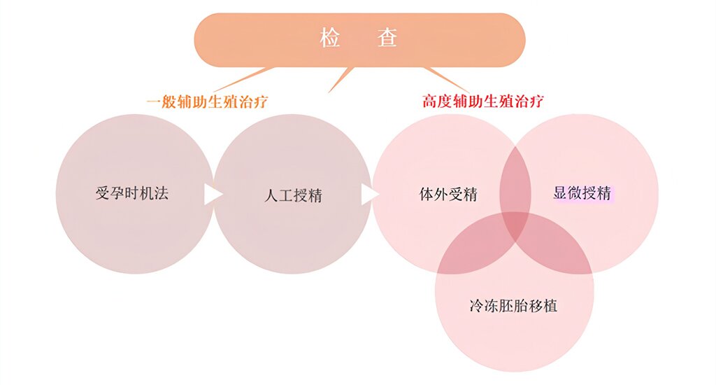 德国代孕：让爱延续 让梦想重生