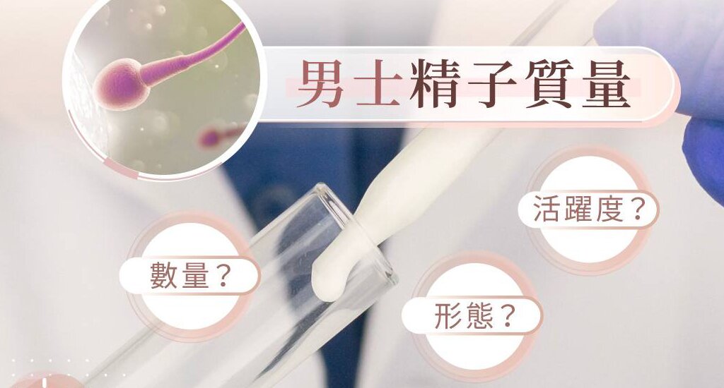 香港借卵机构：试管婴儿的实施步骤