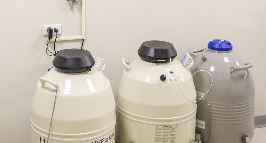 香港借卵机构：我与“小糯米”的三年约定