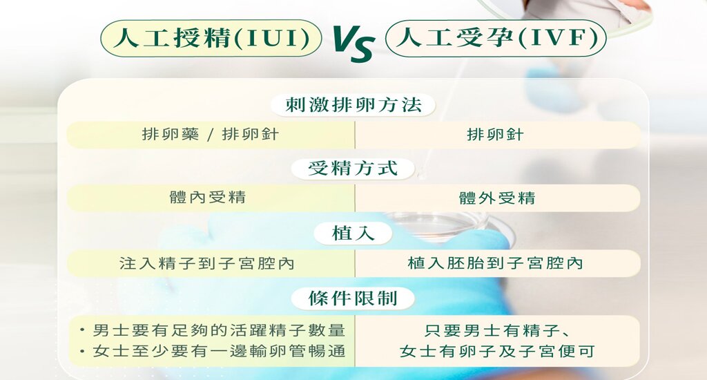 香港借卵公司：借卵公司成就母爱的奇迹