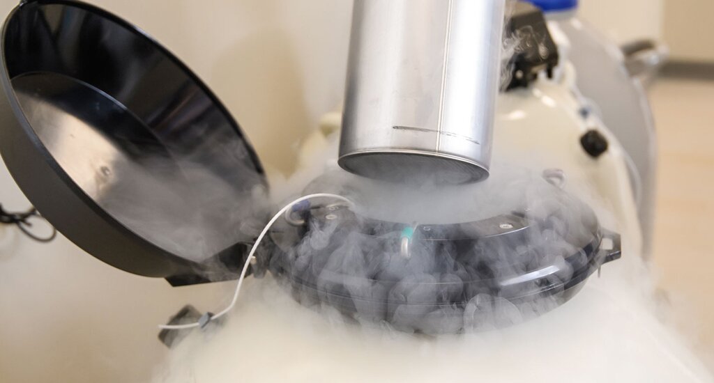 香港借卵机构：从两个人到三个人的旅程